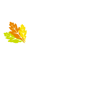 Logotipo de Estudio Roble